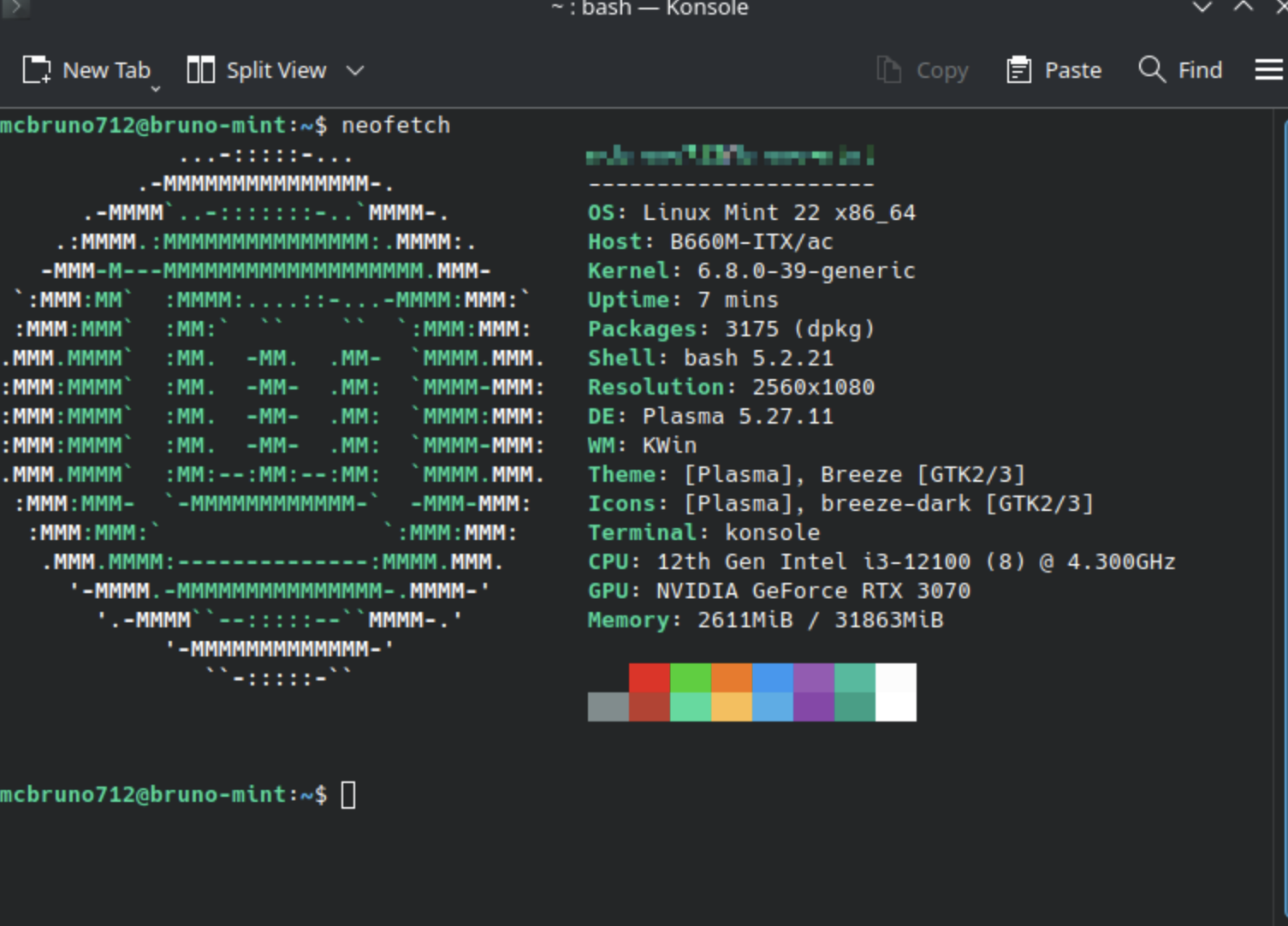 Linux Mint